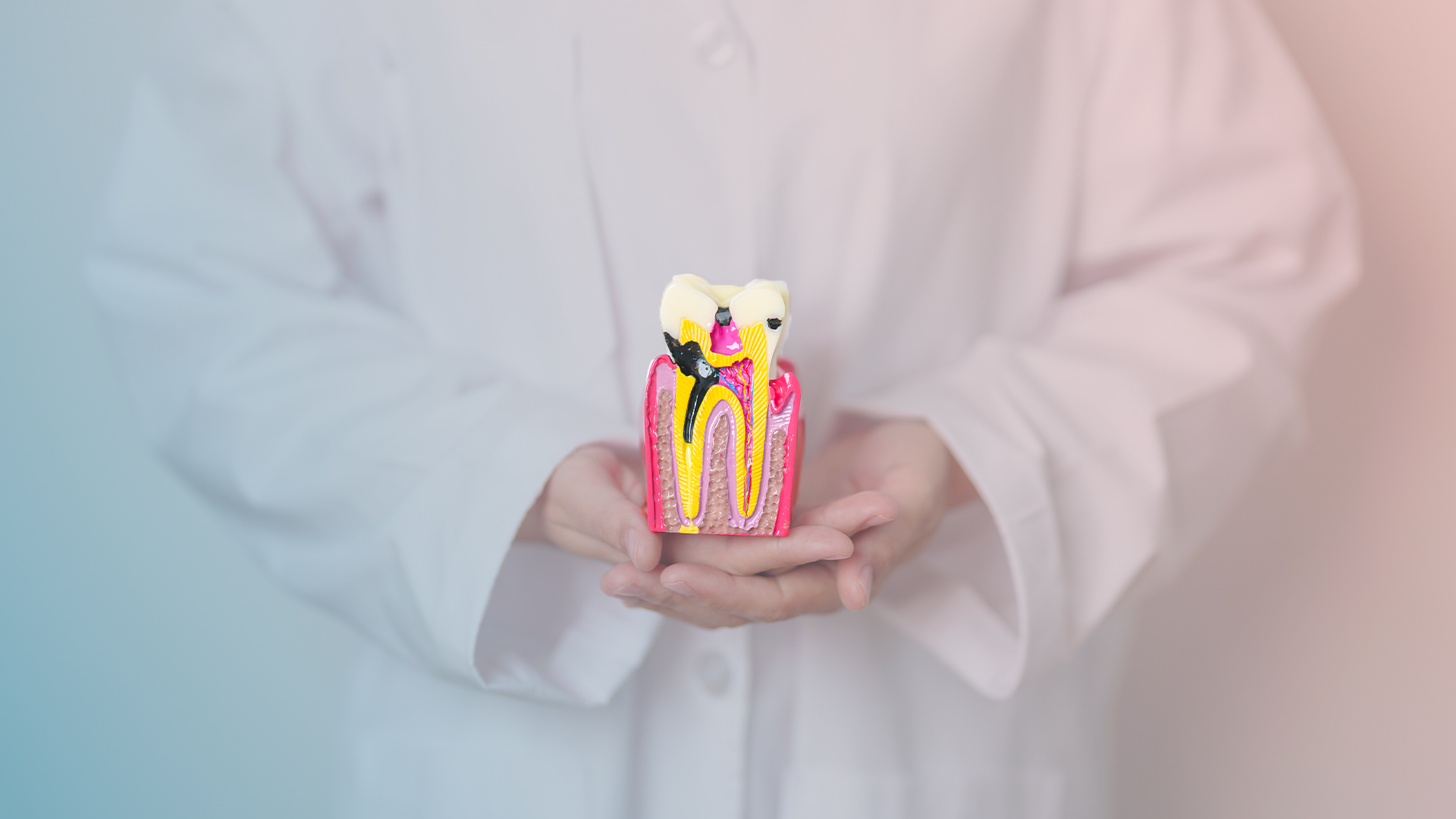 Root Canal Treatment Is Not the End of the Story