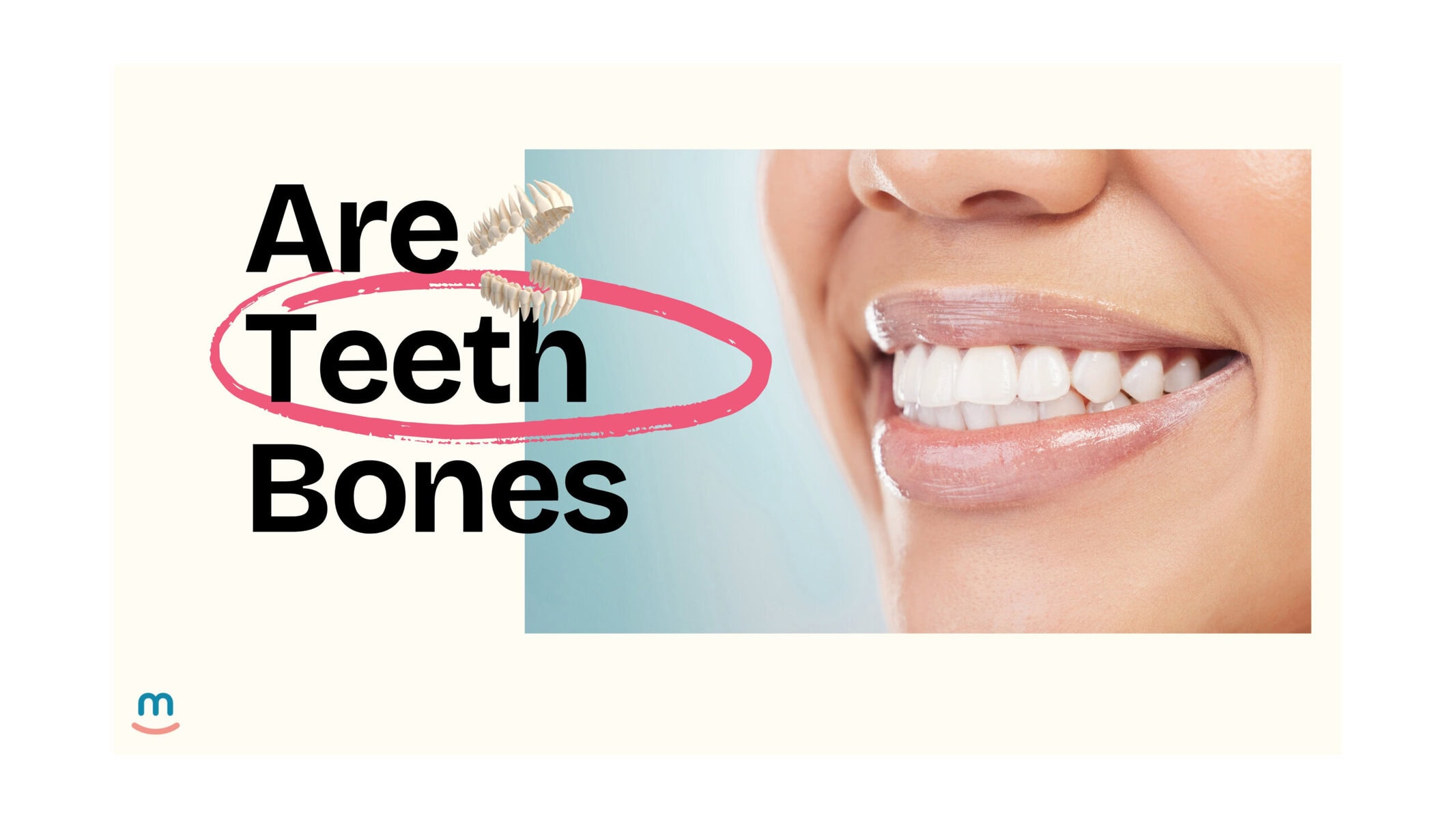 Are Teeth Bones?