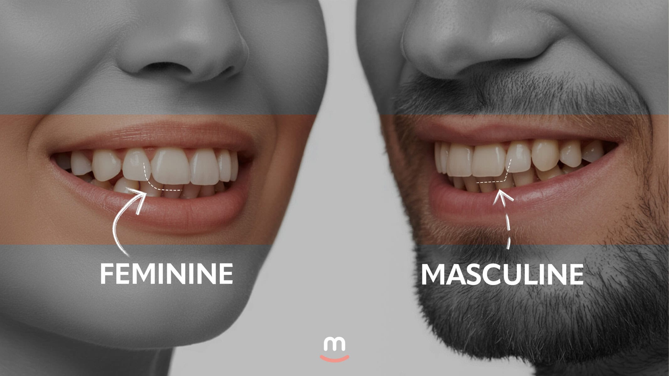 feminine and masculine